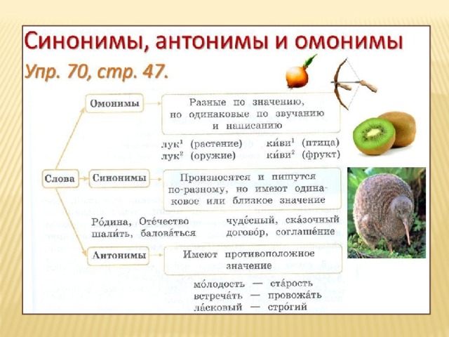 Слова одинаковые по значению и звучанию. Синонимы антонимы омонимы. Омонимы синлнимы антоним. Синонимы антонимы омонимы фразеологизмы. Таблица синонимы антонимы омонимы.