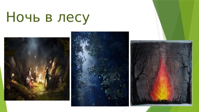 Ночь в лесу 
