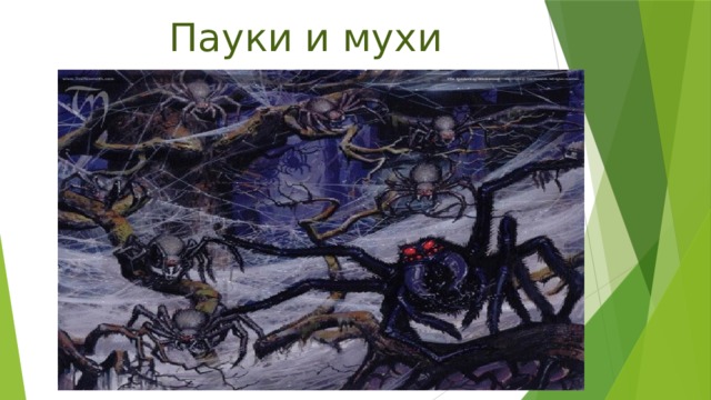 Пауки и мухи 