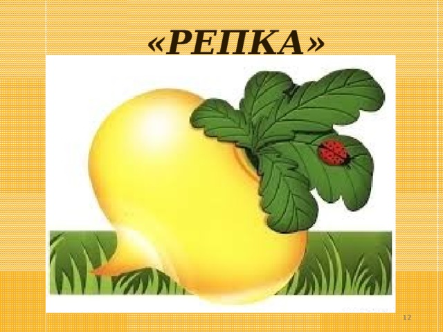  «РЕПКА»  