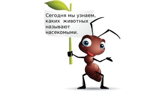 Сегодня мы узнаем, каких животных называют насекомыми. 