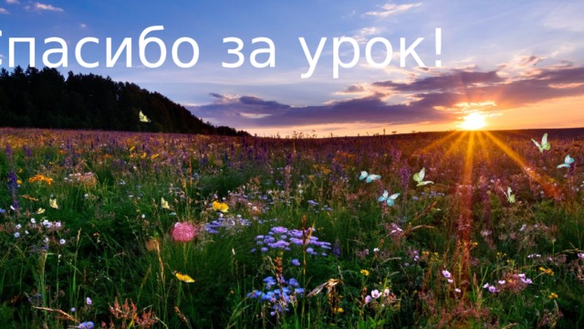 Спасибо за урок!          