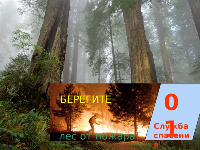 01 БЕРЕГИТЕ Служба спасения лес от пожара! 