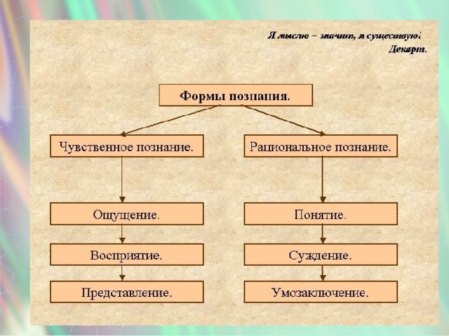 Виды познания схема в философии