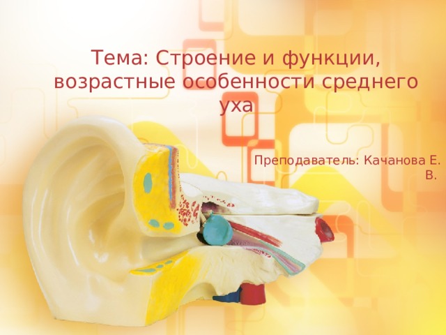  Тема: Строение и функции, возрастные особенности среднего уха Преподаватель: Качанова Е. В. 1 