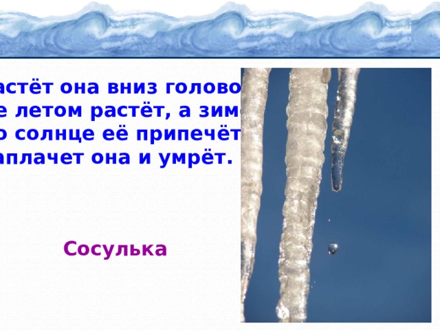 Растёт она вниз головою, Не летом растёт, а зимою. Но солнце её припечёт – Заплачет она и умрёт. Сосулька 