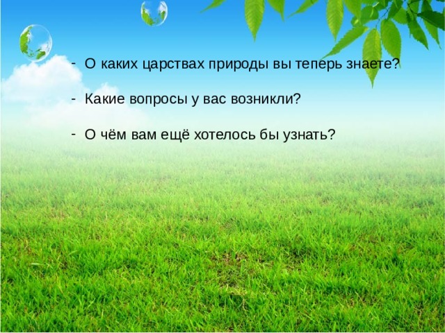 О каких царствах природы вы теперь знаете? Какие вопросы у вас возникли? О чём вам ещё хотелось бы узнать? 