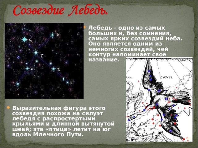 Созвездия осеннего неба 2 класс окружающий. Созвездие лебедь рассказ для 2 класса. Рассказ о созвездии осеннего неба. Рассказ о созвездии лебедь. Созвездие лебедь Легенда.