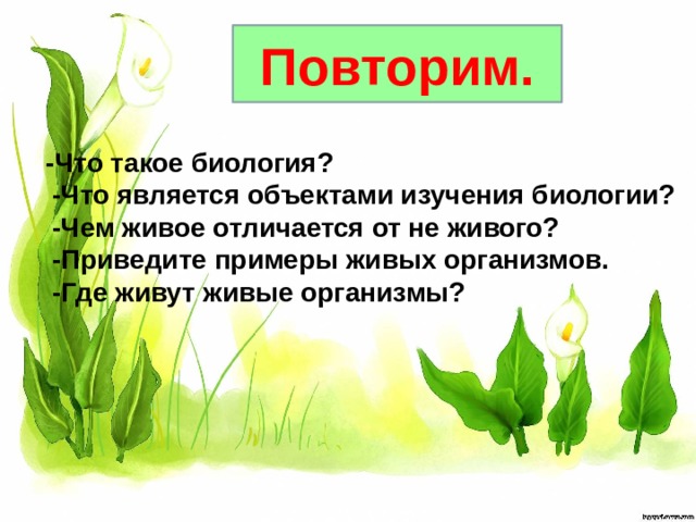 Повторим.  -Что такое биология?  -Что является объектами изучения биологии?  -Чем живое отличается от не живого?  -Приведите примеры живых организмов.  -Где живут живые организмы? 