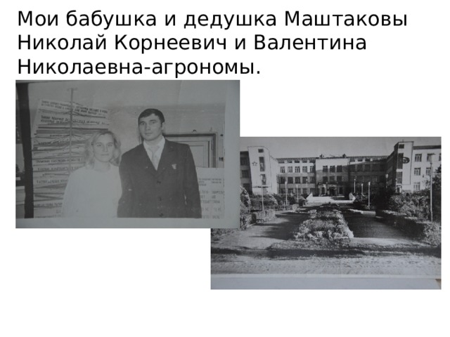 Мои бабушка и дедушка Маштаковы Николай Корнеевич и Валентина Николаевна-агрономы. 