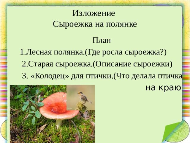 Сделайте описание по следующему плану. Изложение сыроежка 3 класс. Сыроежка на полянке изложение. Старая сыроежка. Изложение сыроежка на Поляне.