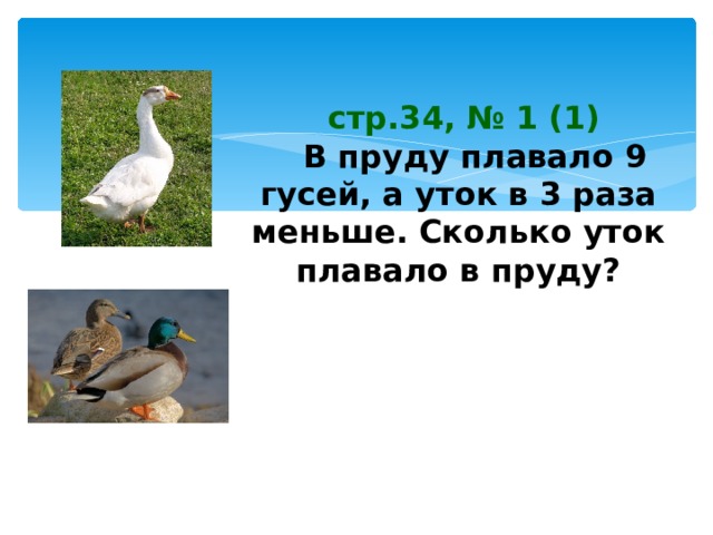 Сколько уток. Вопрос с ответом утка. Отгадка утка. Вопросы и ответы про уток. Сколько всего уток ответ.