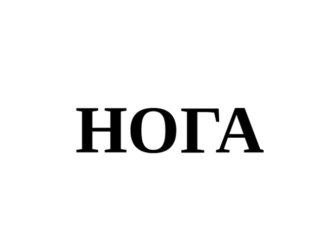 НОГА 
