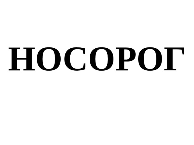 НОСОРОГ 