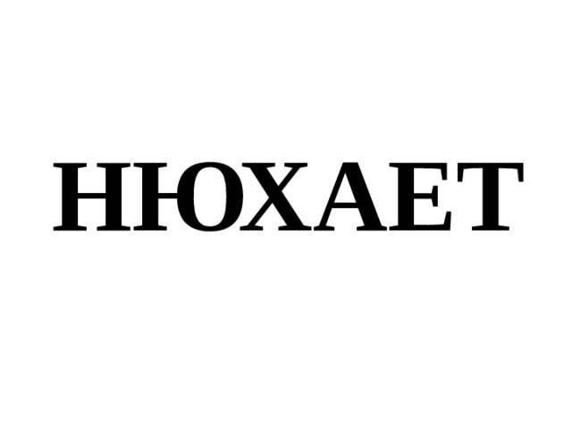 НЮХАЕТ 