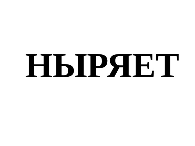 НЫРЯЕТ 