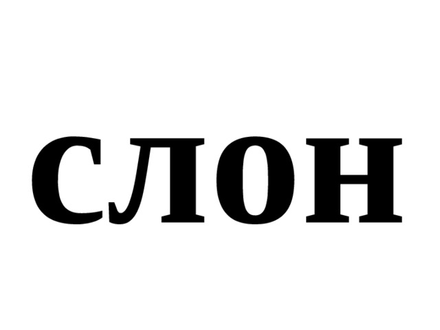 слон 