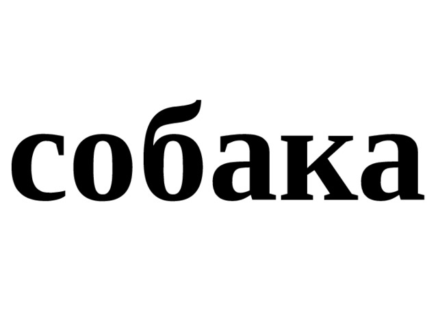 собака 