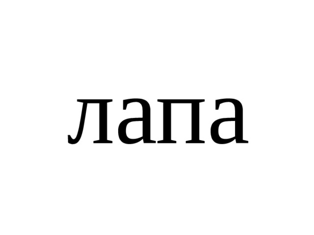 лапа 