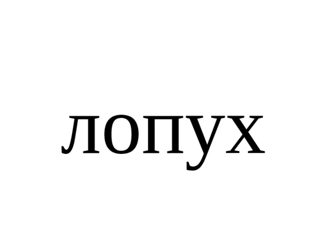 лопух 