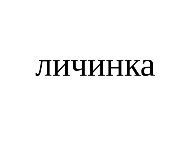 личинка 