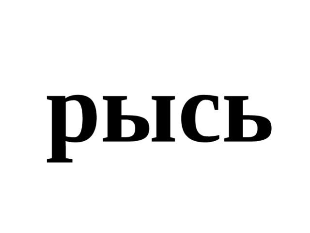рысь 
