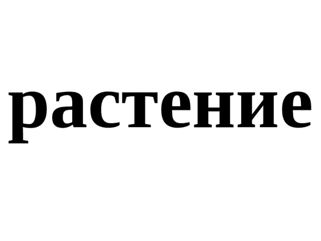 растение 