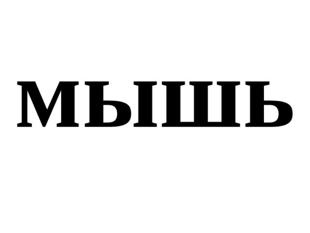 мышь 