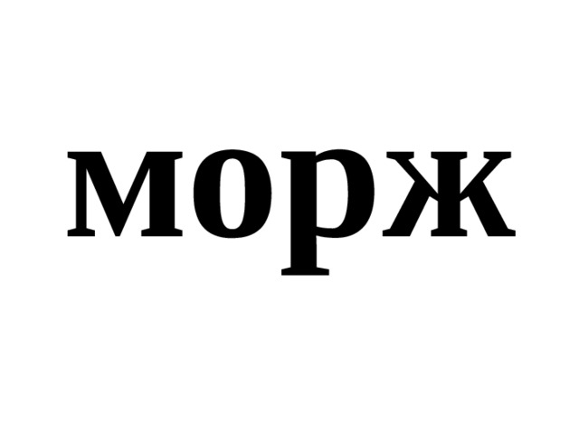 морж 