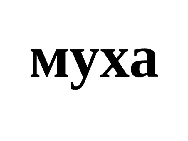 муха 