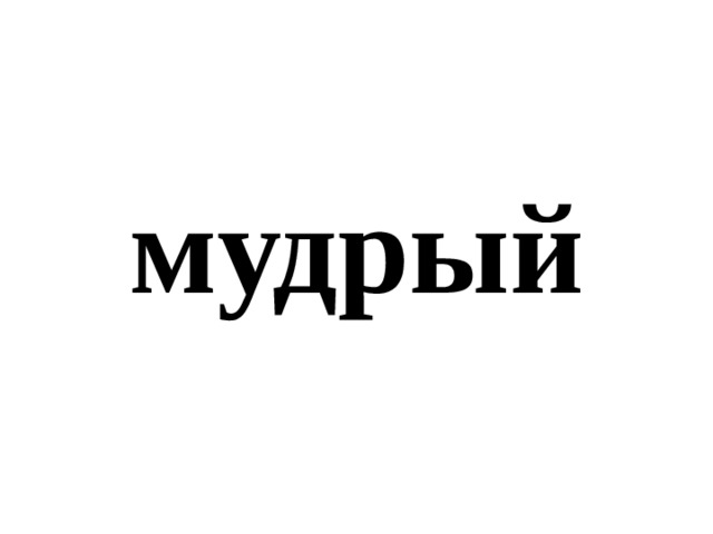 мудрый 