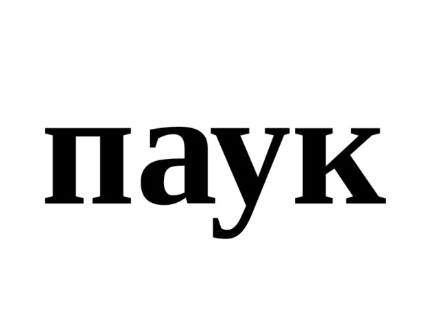 паук 
