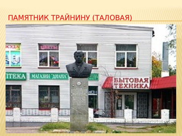 Памятник Трайнину (Таловая) 