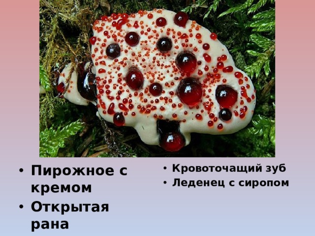 Как выглядит кровавый зуб
