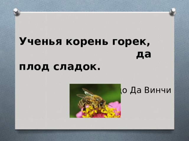 Пословица корень. Корень учения горек да плод сладок. Ученья корень горек да плод сладок Леонардо да Винчи. Корень учения горек да. Ученость это сладкий плод Горького корня.