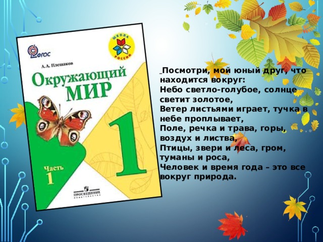    Посмотри, мой юный друг, что находится вокруг:  Небо светло-голубое, солнце светит золотое,  Ветер листьями играет, тучка в небе проплывает,  Поле, речка и трава, горы, воздух и листва,  Птицы, звери и леса, гром, туманы и роса,  Человек и время года – это все вокруг природа. 