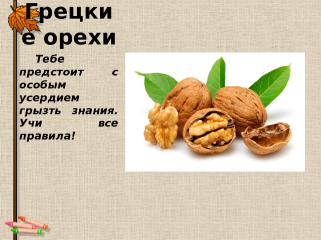 Грецкие орехи Тебе предстоит с особым усердием грызть знания. Учи все правила! 