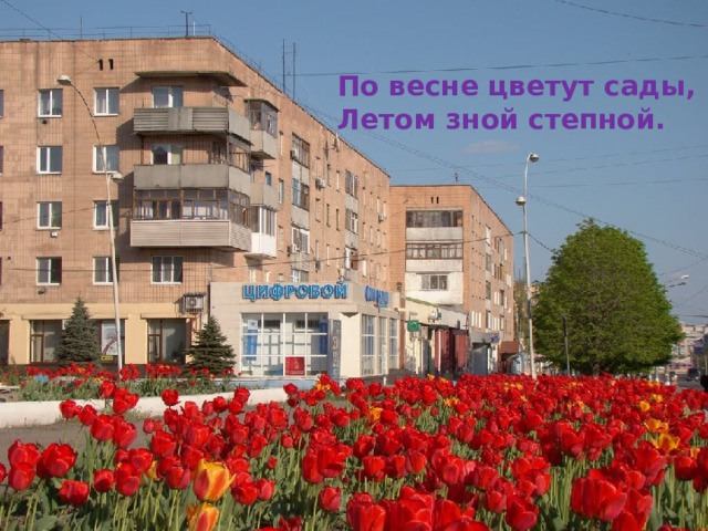 По весне цветут сады, Летом зной степной. 