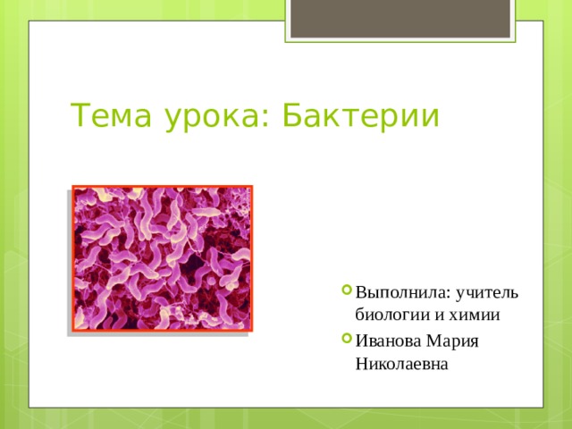 Тема урока: Бактерии Выполнила: учитель биологии и химии Иванова Мария Николаевна 