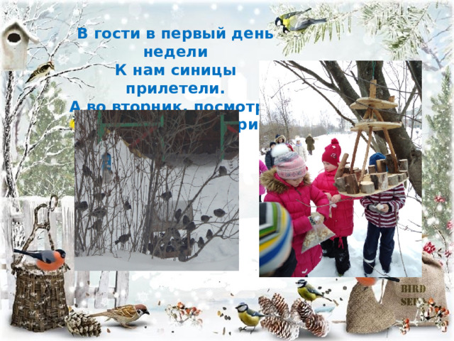 В гости в первый день недели К нам синицы прилетели. А во вторник, посмотри, Прилетели снегири. 