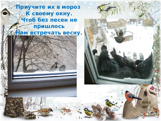 Приучите их в мороз К своему окну. Чтоб без песен не пришлось Нам встречать весну. 