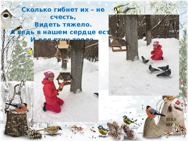 Сколько гибнет их – не счесть, Видеть тяжело. А ведь в нашем сердце есть И для птиц тепло. 