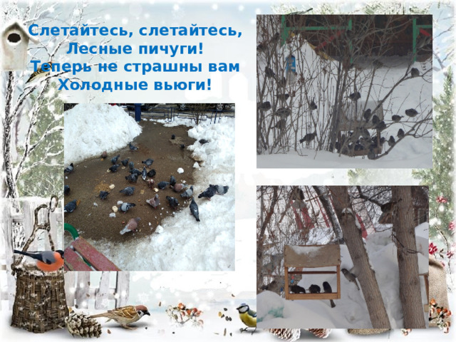 Слетайтесь, слетайтесь, Лесные пичуги! Теперь не страшны вам Холодные вьюги! 