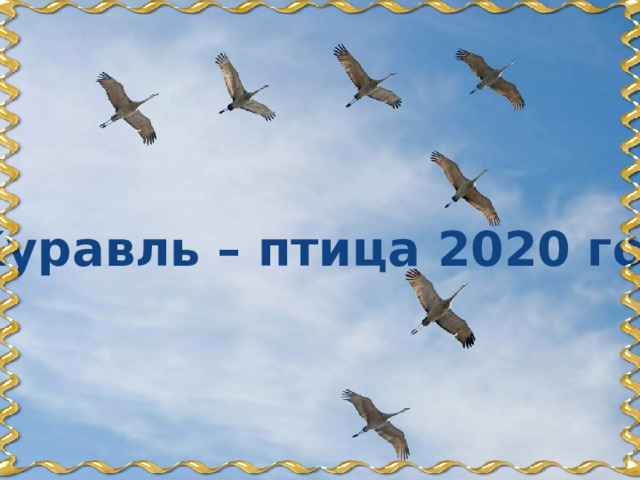 Журавль – птица 2020 года 