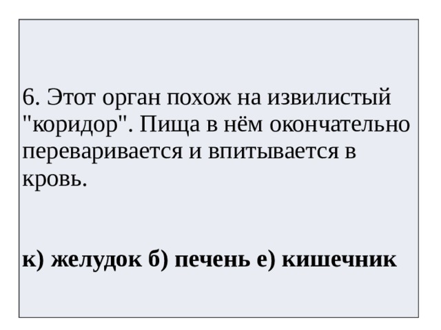 Какой орган похож на длинный извилистый коридор