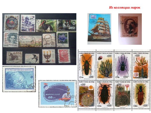  Из коллекции марок 