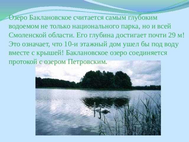 Озеро Баклановское считается самым глубоким водоемом не только национального парка, но и всей Смоленской области. Его глубина достигает почти 29 м! Это означает, что 10-и этажный дом ушел бы под воду вместе с крышей! Баклановское озеро соединяется протокой с озером Петровским. 