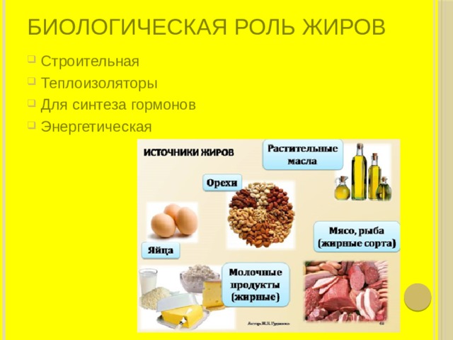 Проект жиры роль и превращение в организме человека применение в медицине