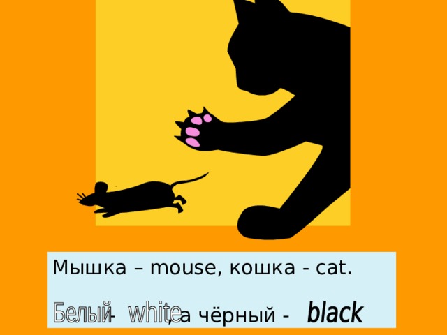 Мышка – mouse, кошка - cat.  -  ,  а чёрный - .