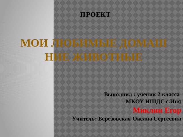 Проект мои домашние